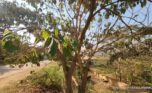 Nyarutarama Land for sale plut properties (5)