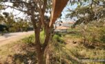 Nyarutarama Land for sale plut properties (7)