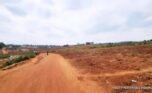 Buy land in Bumbogo plut properties (2)