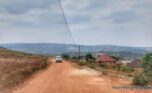 Buy land in Bumbogo plut properties (3)