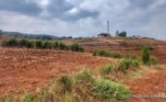 Buy land in Bumbogo plut properties (7)