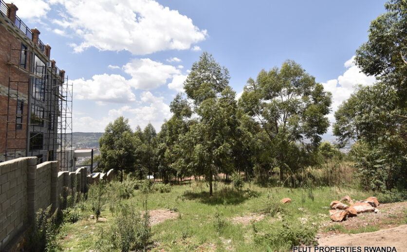 Rebero land for sale plut properties (2)