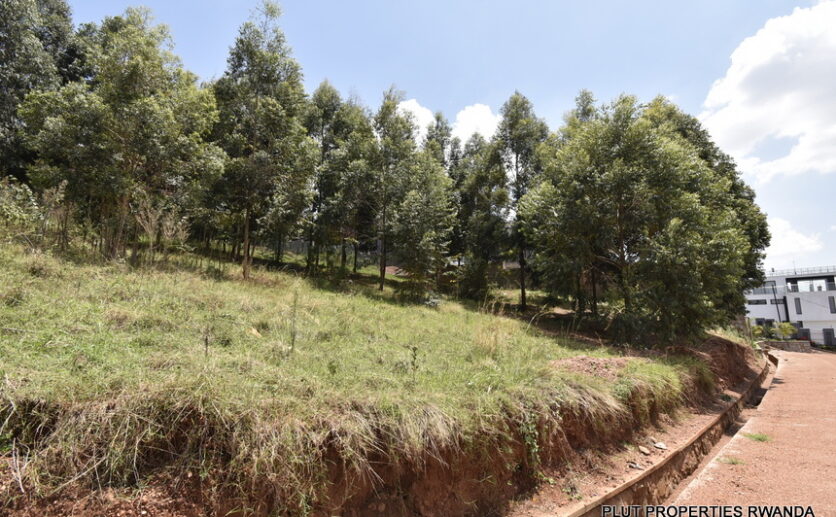 Rebero land for sale plut properties (4)