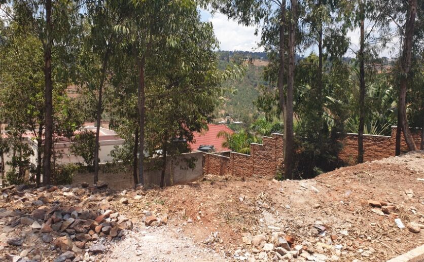 Rebero land for sale plut properties (4)