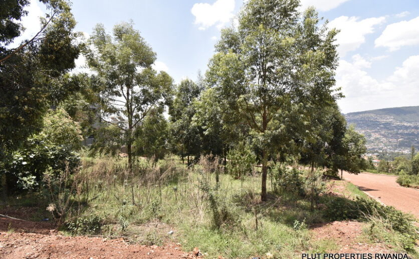 Rebero land for sale plut properties (5)