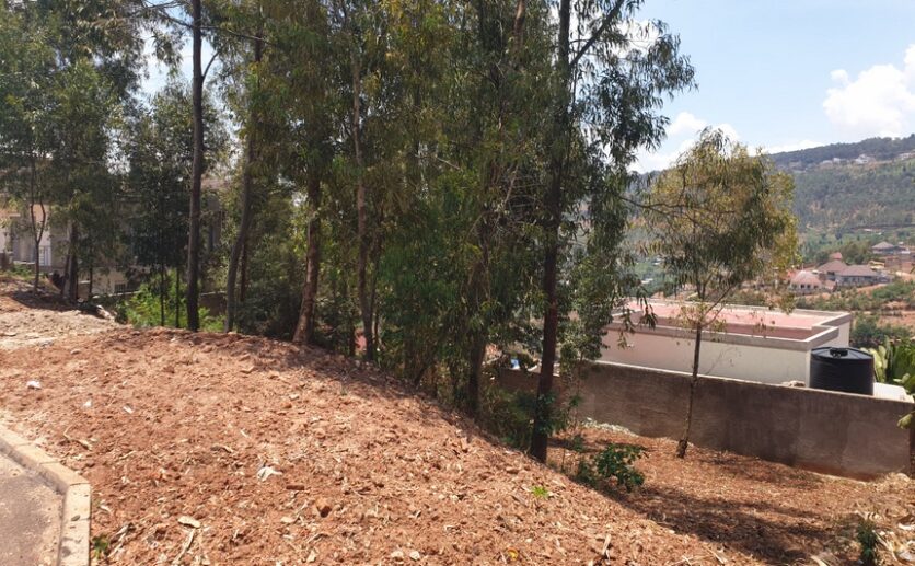 Rebero land for sale plut properties (9)