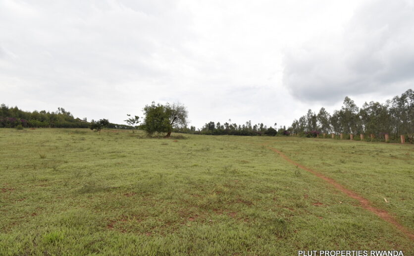 Big plor for sale in Bugesera plut properties (2)