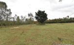 Big plor for sale in Bugesera plut properties (7)