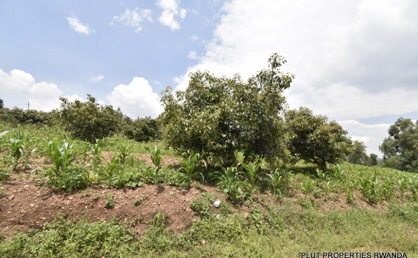 Buy land in Muyange Kicukiro plut properties (10)