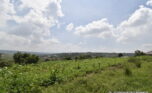 Buy land in Muyange Kicukiro plut properties (2)