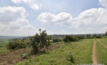 Buy land in Muyange Kicukiro plut properties (7)