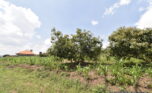 Buy land in Muyange Kicukiro plut properties (8)