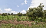 Buy land in Muyange Kicukiro plut properties (9)