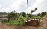 Plot for sale in Kicukiro Muyange plut properties (2)