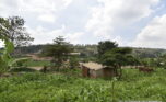 Plot for sale in Kicukiro Muyange plut properties (3)