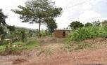 Plot for sale in Kicukiro Muyange plut properties (5)