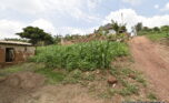 Plot for sale in Kicukiro Muyange plut properties (9)