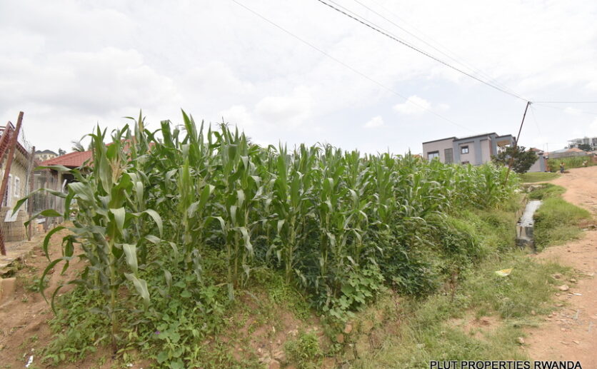 Big plot for sale in Kibagabaga plut properties (2)