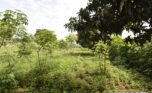 Plot for sale in Bugesera gahembe plut properties (1)