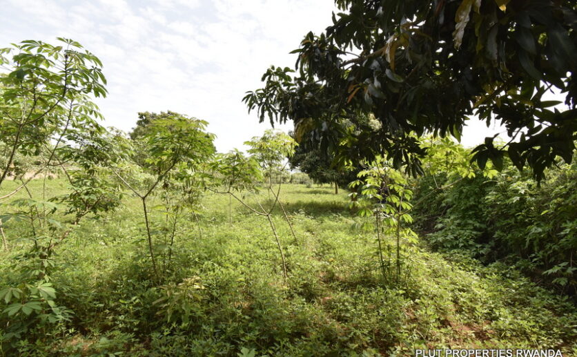 Plot for sale in Bugesera gahembe plut properties (1)