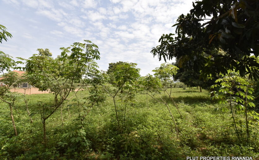 Plot for sale in Bugesera gahembe plut properties (2)