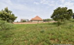 Plot for sale in Bugesera gahembe plut properties (3)