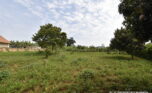 Plot for sale in Bugesera gahembe plut properties (4)