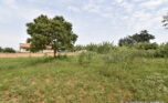 Plot for sale in Bugesera gahembe plut properties (5)