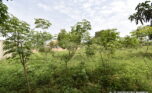 Plot for sale in Bugesera gahembe plut properties (7)