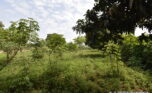 Plot for sale in Bugesera gahembe plut properties (8)