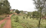 Big plot for sale in Kicukiro Nyanza plut properties (3)