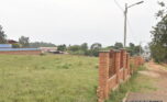 Plots for sale in Kicukiro Kigarama plut properties (1)