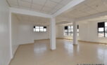 commercial property for rent plut properties (29)