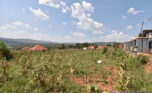Big plot for sale in Gasogi plut properties (1)