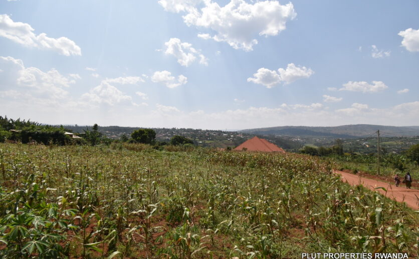Big plot for sale in Gasogi plut properties (10)