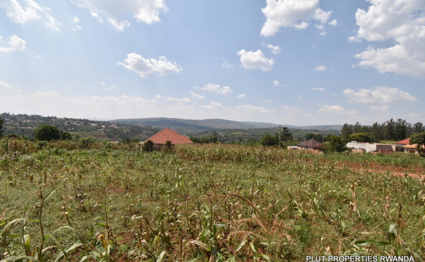 Big plot for sale in Gasogi plut properties (11)