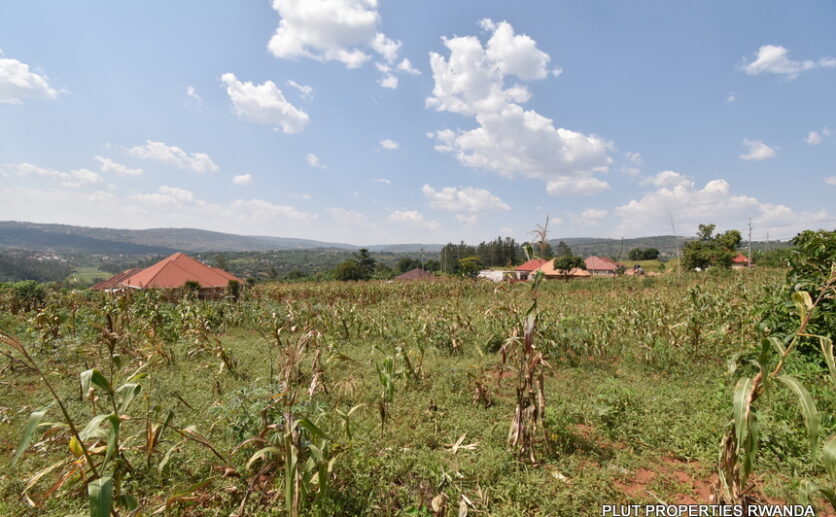 Big plot for sale in Gasogi plut properties (12)