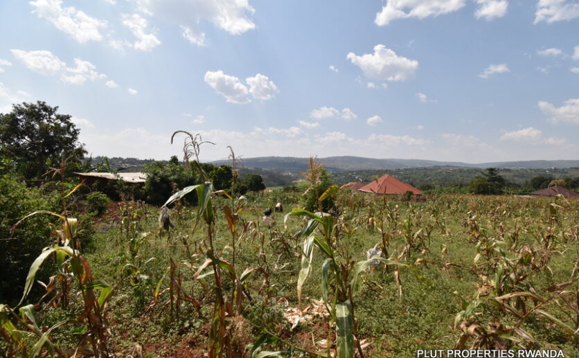 Big plot for sale in Gasogi plut properties (2)