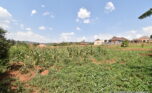 Big plot for sale in Gasogi plut properties (4)