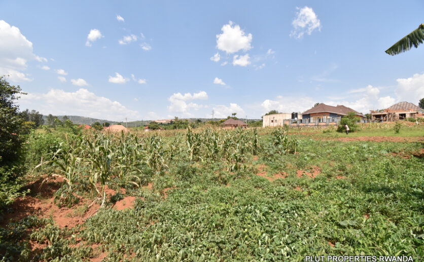 Big plot for sale in Gasogi plut properties (4)