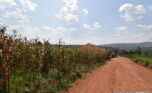 Big plot for sale in Gasogi plut properties (5)
