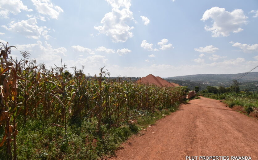 Big plot for sale in Gasogi plut properties (5)