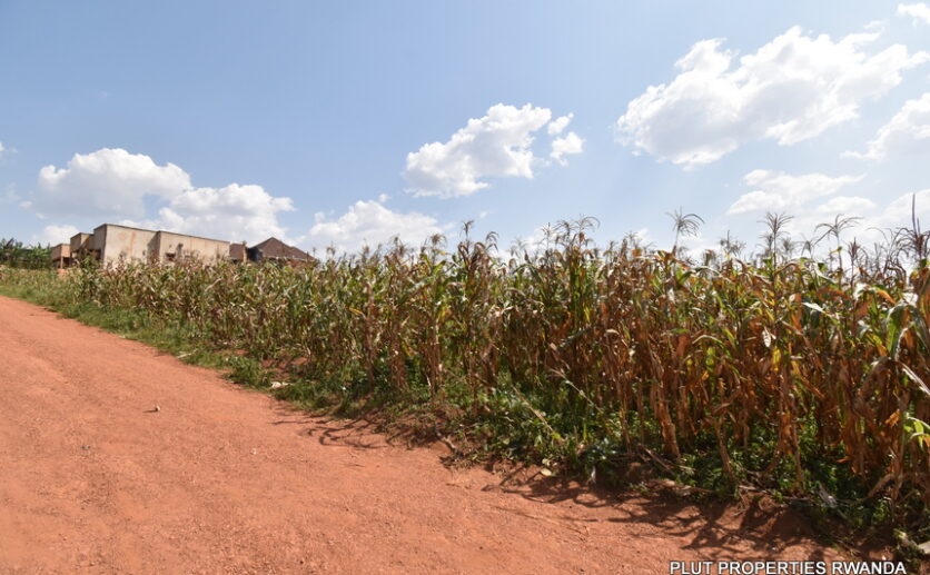 Big plot for sale in Gasogi plut properties (6)