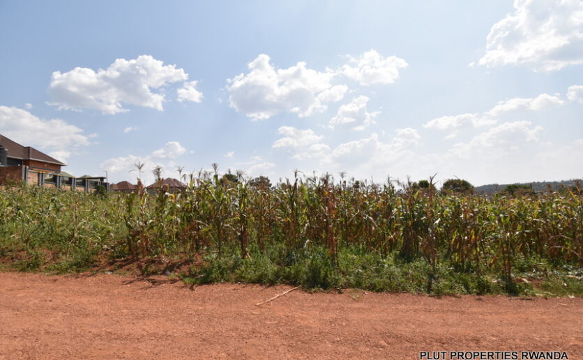 Big plot for sale in Gasogi plut properties (7)