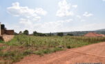 Big plot for sale in Gasogi plut properties (8)
