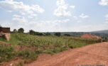 Big plot for sale in Gasogi plut properties (9)