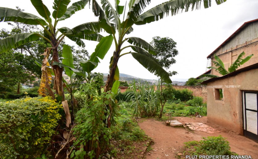 Big plot for sale plut properties (5)