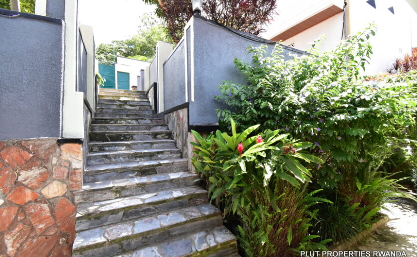 Houses for rent in Kiyovu plut properties (13)