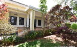 Houses for rent in Kiyovu plut properties (5)