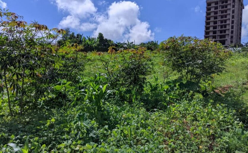 2 big plots for sale in Kicukiro plut properties (4)